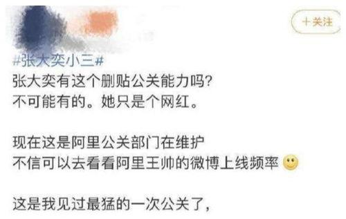 娱乐吃瓜老婆全文阅读